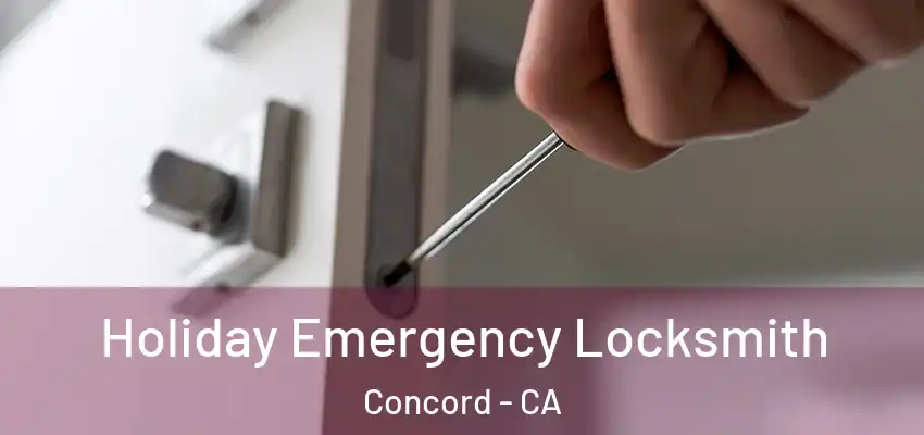  Holiday Emergency Locksmith Concord - CA