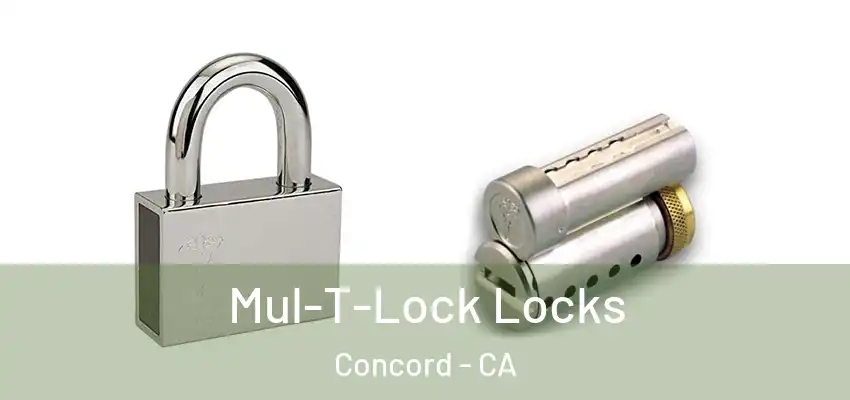  Mul-T-Lock Locks Concord - CA